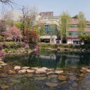 황지연못 이미지