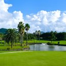 아난티클럽제주CC(대중형 27홀) | 제주골프조인 크라운CC 중상급 컨디션 코스 가성비 좋은 골프장 추천