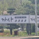 까사3353