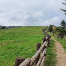 청량목장 이미지