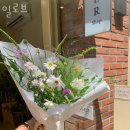 일로브 이미지