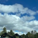 버드벨리 | 그랜드캐니언 국립공원 셧다운 오히려 좋아 자유여행 동선 및 후기