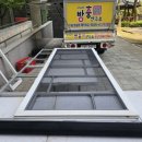 제주벅스코리아 이미지