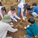 전남대학교 농업실습교육원 이미지