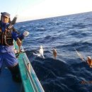 공현진항 이미지