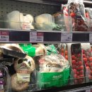 (더좋은마트)그린마트 | 랑함플레이스 홍콩 쇼핑 백화점 추천 | 마켓플레이스 팝마트 팀그린 라부부 피규어