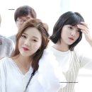 빈빈 이미지