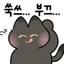 미당 라이브