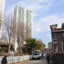 탄벌동-19 이미지