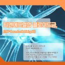티엔에프(TNF) 이미지