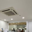 엘레강스펫샵 이미지