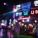 터미널관광나이트 이미지