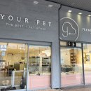 유어펫 일산본점 이미지