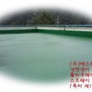 (주)에스티시