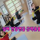 청춘팔팔 실버체조 프로그램 | 광주,전남,전북> 튼튼한 노후를 위한 한걸음~!실버 건강연금. 실버근력운동. 경로당 실버세라밴드운동