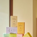 티팰리스 이미지