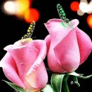 Perry Como - For the good times 이미지