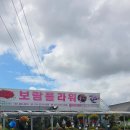 파주국화분재 | 은평구 꽃집 찾는다면 서오릉 보람플라워