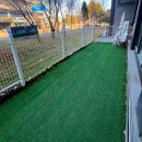 도도하개 이미지