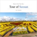 축제로 만나는 부여 여행 | 11월 국내 축제, 충남 부여, 서산 국화축제 여행 가볼만한곳