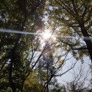 경인슈퍼 - 포항시 남구 문예로152번길 40 | 경인슈퍼