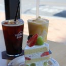 매안초등학교 | 순천 케이크맛집 신대지구 바닐라앤코 방문 후기