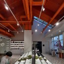 어린이놀이터파충류샵 | 인천파충류 추천, 청라 파충류샵 크레리즘 - 세련된 인천도마뱀 매장 후기