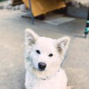 견불동정원 이미지