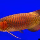 면목동-211 이미지