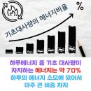 단백질과 관련한 기초대사 이미지