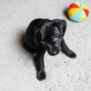 압구정안과의원 이미지