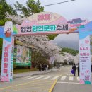 야외마당 콘서트 6회차 | 주말 나들이 🌸 2026 영암왕인문화축제 방문 후기