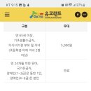 카페유교