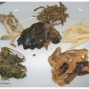 들풀산채정식 이미지