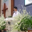 빛내리 이미지