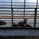 구술농장 이미지