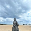 신풍목장 | 제주 올레길 3코스 완주 후기 온평포구부터 표선해수욕장까지, 자연과 힐링이 가득한 여정