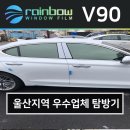 청주오토샵 | 울산 틴팅 경남미터카 갔다왔습니다.