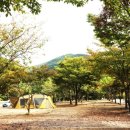 벽계관광지 이미지