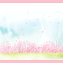 8월22(금) 관악산 연주암 ~ 마당바위(진행자 의 사정에의해 만남시간 12시로 변경하여 진행합니다) 이미지