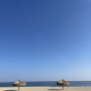 오오펜션 이미지