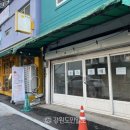 육림개발 이미지