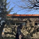 남원읍-29 | 제주 카페밭디 후기｜승마체험 가능한 제주 이색카페 추천