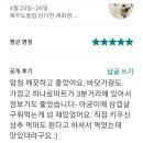 제주도 돌집 삼다헌 세화점 이미지