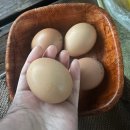 숯가마 | 화성 율암온천 숯가마 사우나 방문한 후기 입장료