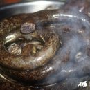 전원주의 손큰 할매순대국 이미지