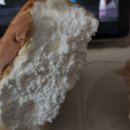 연세 다윗 이미지