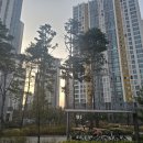 버스정류소_홈플러스면목동점 | 중랑구임장 #중랑구대장아파트? 상봉듀오트리스 상봉프리미어스엠코 사가정센트럴아이파크