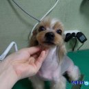 마린동물병원 이미지