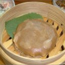 꿀참나무 이미지